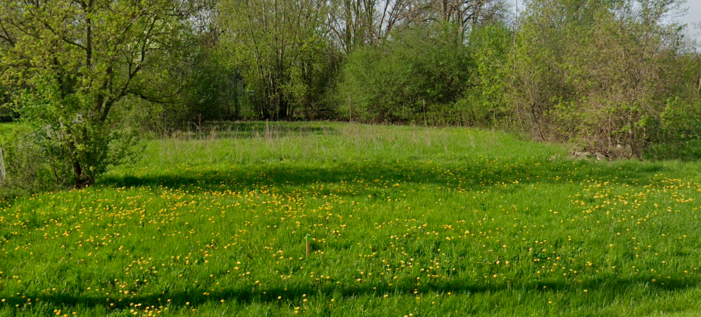 .29 Acre Lot- Genesee, Michigan