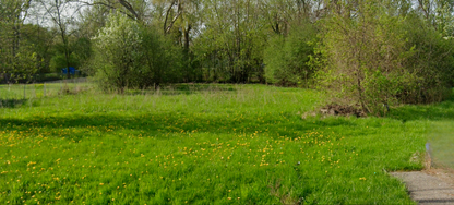.29 Acre Lot- Genesee, Michigan